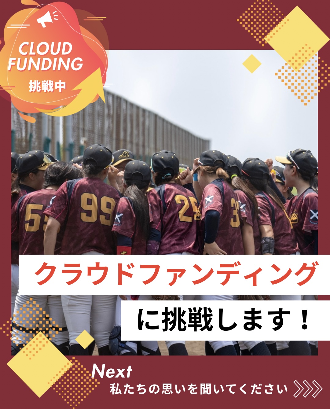 桃山学院大学 女子硬式野球部