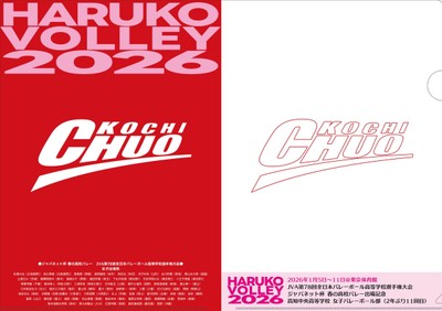 チームロゴ入り春高記念クリアファイルの画像